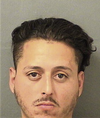 Jose Hernandezperez, - Palm Beach County, FL 